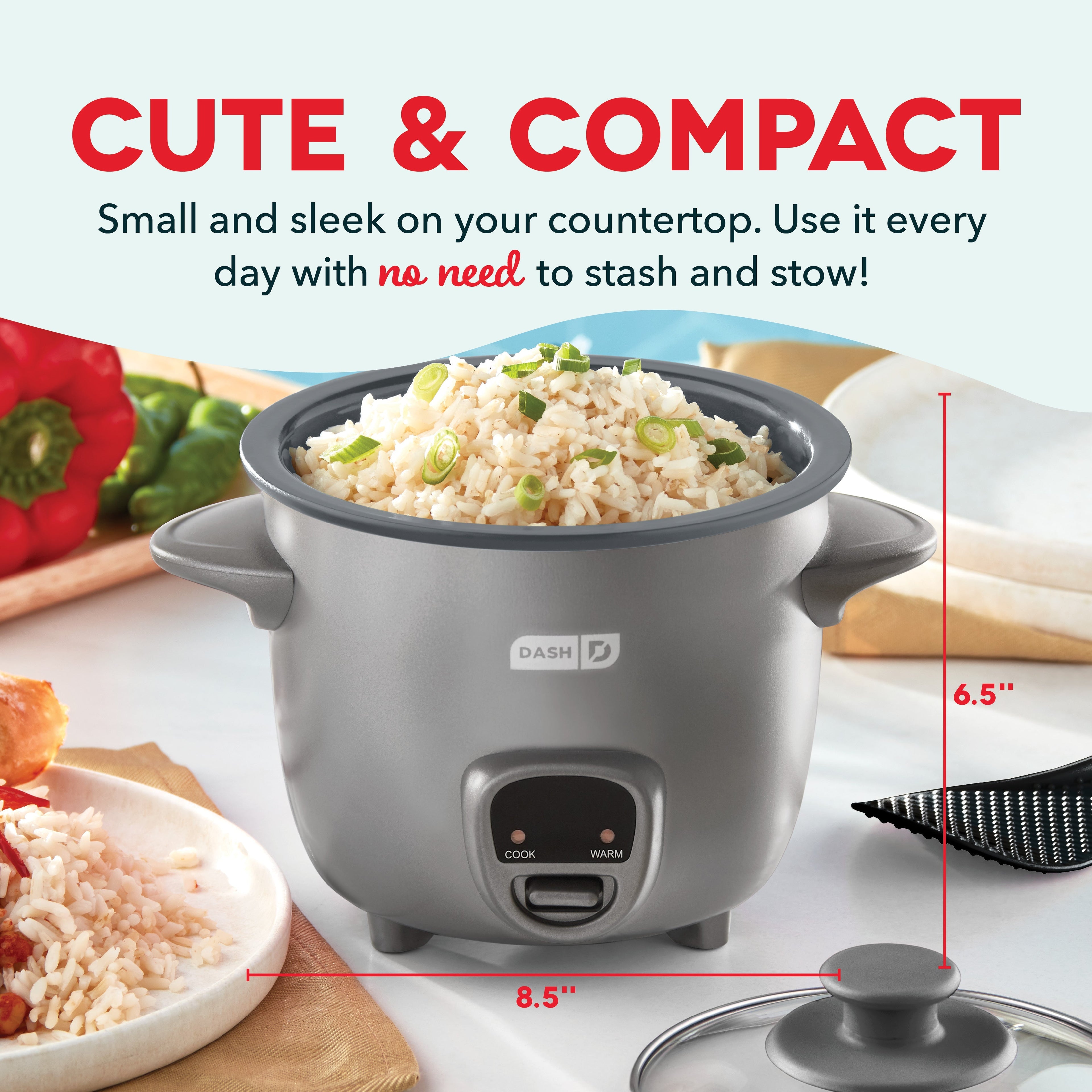 Mini Rice Cooker with Keep Warm